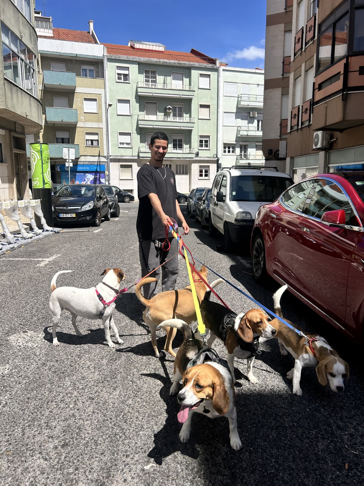 João walking five dogs at once on a city street, all on loose leashes